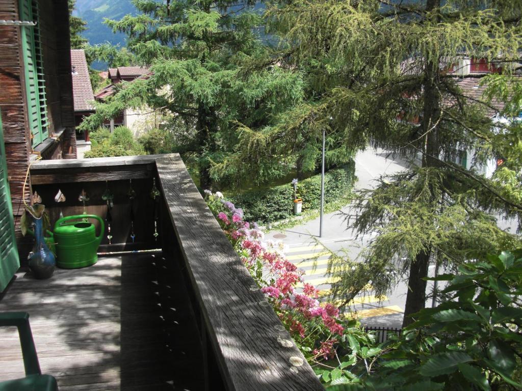Apartments Dr. Med. Vet. Tempelman Interlaken Ruang foto